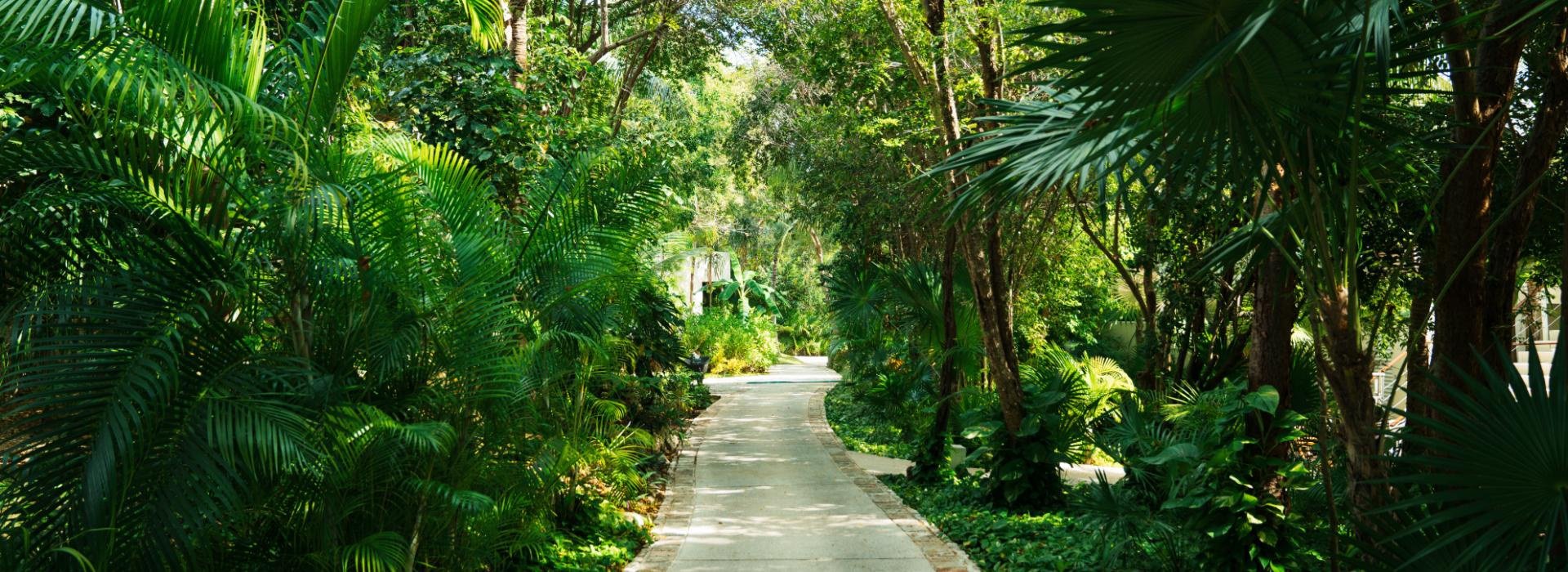   Blue Diamond Luxury Boutique Hotel Riviera Maya