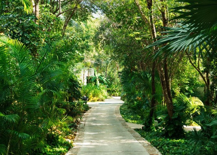  Blue Diamond Luxury Boutique Hotel Riviera Maya