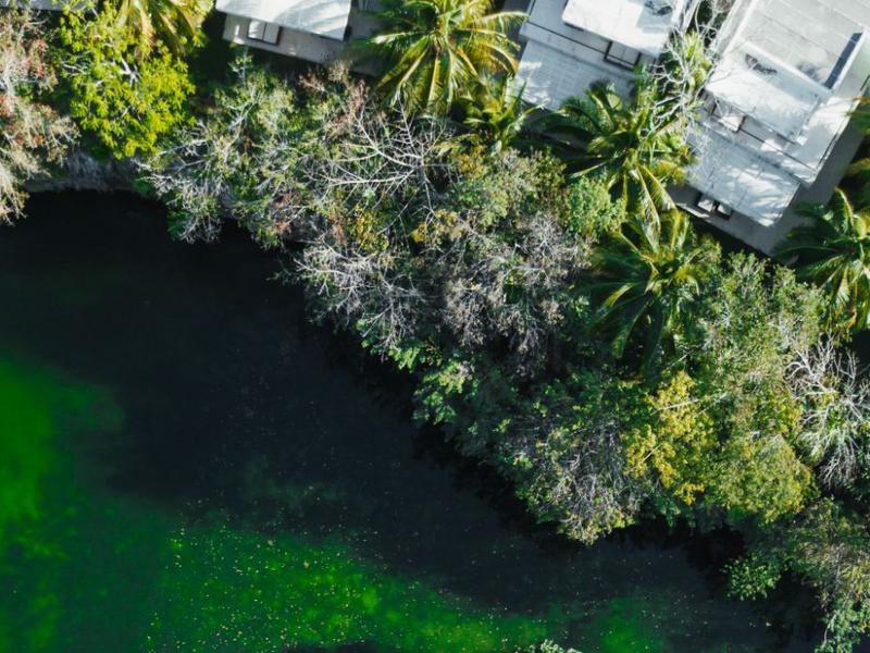 Bain cénote Blue Diamond Luxury Boutique Hotel Riviera Maya Bain cénote Blue Diamond Luxury Boutique Hotel Riviera Maya