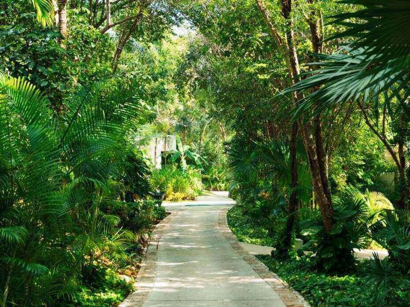 La Ceiba Blue Diamond Luxury Boutique Hotel Riviera Maya La Ceiba Blue Diamond Luxury Boutique Hotel Riviera Maya