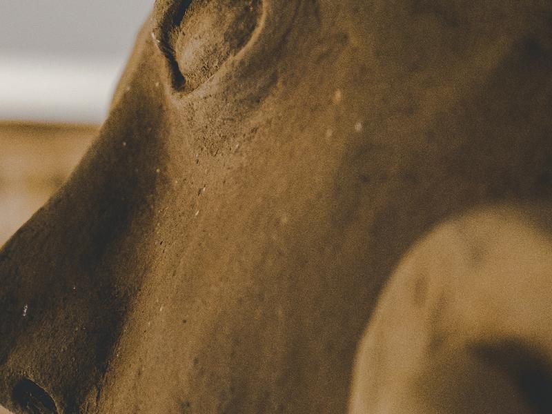 Wellness Retreats Blue Diamond Luxury Boutique Hotel Riviera Maya Wellness Retreats Blue Diamond Luxury Boutique Hotel Riviera Maya